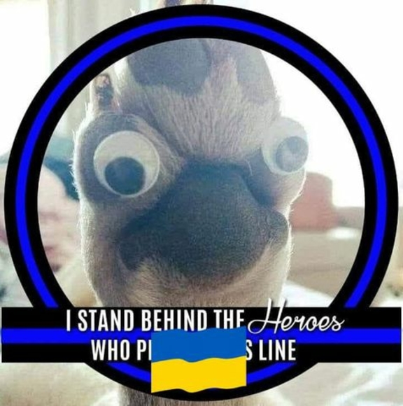 Meet your Posher, Travis - Picture 1 of 1